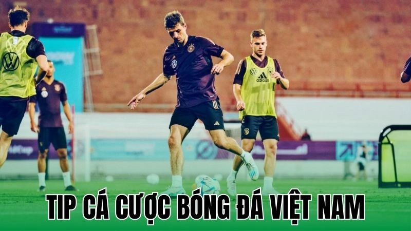 Tip Cá Cược Bóng Đá Việt Nam Giúp Tăng Tỷ Lệ Chiến Thắng 6 tip ca cuoc bong da viet nam